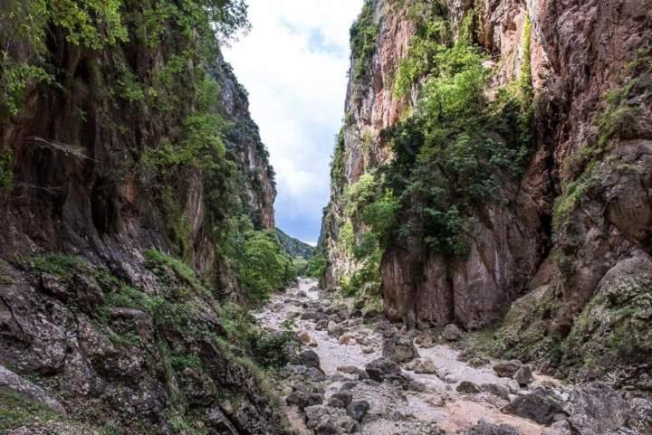 Gjipe Eco Campground Vuno 外观 照片