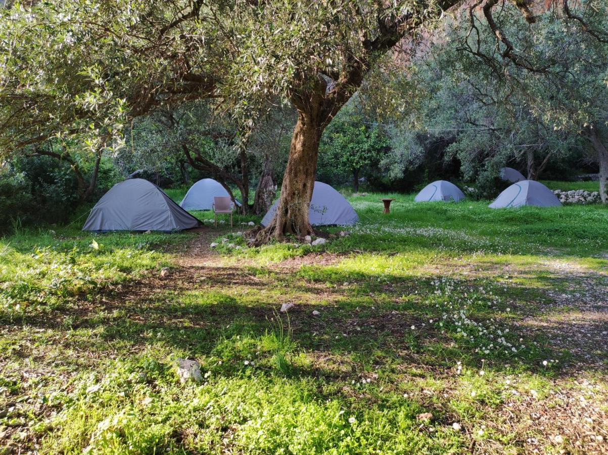 Gjipe Eco Campground Vuno 外观 照片